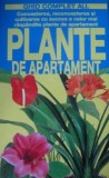 Plante de apartament. Ghid complet