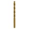 Burghiu HSS cu TIN 13.0mm 1Pcs/Set Tip C, Raider, 150677