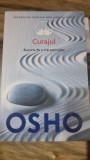 Osho - Curajul. Bucuria de a trai periculos
