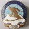 INSIGNA A III A SPARTACHIADA A TINERETULUI 1958 SCHI SKI RPR (CITITI DESCRIEREA)