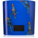Vila Hermanos Jungletopia Rain Forest lum&acirc;nare parfumată 620 g