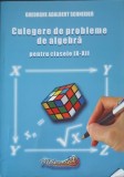 CULEGERE DE PROBLEME DE ALGEBRA PENTRU CLASELE IX-XII-GHEORGHE ADALBERT SCHNEIDER-255619