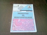 INDREPTAR DE MORFOPATOLOGIE - FLORIN HALALAU