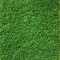 Gazon Artificial Sri Lanka, Inaltime Fir 30 mm, Latime 2 m, Marime 200 x 400 cm, Verde, Antialergic, Polipropilena, Curte, Terasa, Balcon, Piscina, Lo