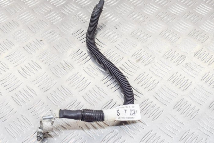 Cablu baterie negativ TESLA MODEL S 2018 OEM: 2092875-00-A | 11493321