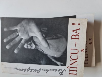 H&amp;icirc;ncu-ba! de Romulus Vulpescu, vol. I-II foto