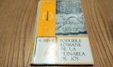PODURILE ROMANE DE LA DUNAREA DE JOS - D. Tudor - Academiei, 1971, 209 p, Alta editura