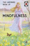 The Ladybird Book of Mindfulness | Jason Hazeley, Joel Morris, Michael Joseph