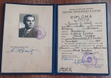 QW13 1 14 - 1960 - Diploma absolvire - Facultatea de stiinte juridice