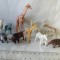 bnk jc Lot 10 animale salbatice - pentru diorame
