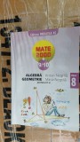 ALGEBRA GEOMETRIE CLASA A VIII A PARTEA II , ANTON NEGRILA, Clasa 8, Matematica