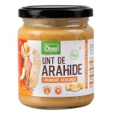 Crema Tartinabila de Arahide Crunchy Bio 250gr Obio