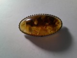 Brosa chihlimbar , dim.=5x2,5 cm