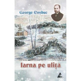 Iarna pe ulita. Poezii - George Cosbuc