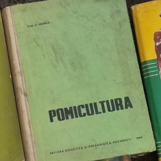 A. Negrila - Pomicultura. Curs Pentru Facultatile de Agronomie