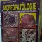 Morfopatologie - Constantin Tasca