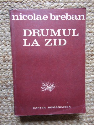 NICOLAE BREBAN - DRUMUL LA ZID foto