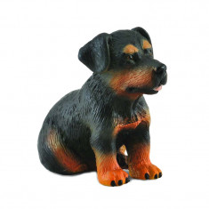 Figurina Catelus Rottweiler Collecta, 4 x 3.5 cm, plastic cauciucat, 3 ani+, Maro/Negru