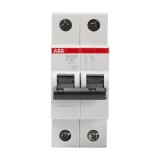 Intrerupator Automat 40A 2P C 4.5Ka SH202-L