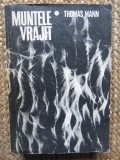 MUNTELE VRAJIT - THOMAS MANN
