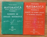 Set manuale de matematica pentru clasa a XI a de Mircea Ganga (2 vol.)