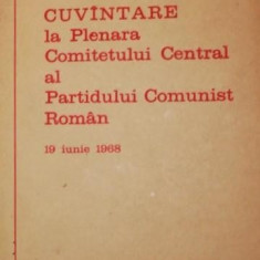 CUVANTARE LA PLENARA COMITETULUI CENTRAL AL PARTIDULUI COMUNIST ROMAN 19 IUNIE 1968