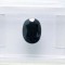 ~ SAFIR NATURAL albastru inchis 1,66 ct. Certificat de Autenticitate ! ! !
