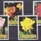 DB1 Flori Trandafiri Fujeira 6 v. MNH MNH