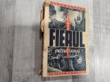 Fierul,pulsul lumii de Eugen Schmahl