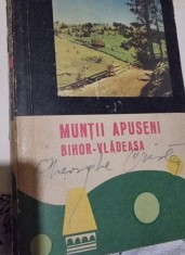 MUNTII APUSENI. BIHOR-VLADEASA - M. BLEAHU