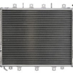 Radiator compatibil: KAWASAKI ZX-12R 1200 2002-2005