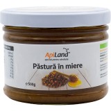 Pastura in Miere 500g