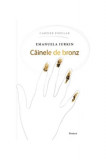 C&acirc;inele de bronz - Paperback brosat - Emanuela Iurkin - Cartier, 2019