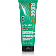 Fudge Clean Mint Shampoo șampon pentru păr gras 250 ml