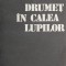 Drumet in calea lupilor - Nicolae Dragos, Mihai Stoian
