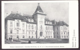 320 - CRAIOVA, Primaria, Romania - old postcard - unused, Necirculata, Printata