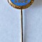 INSIGNA FOTBAL CSS GLORIA ARAD