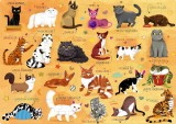 Puzzle 120 piese - Lumea pisicilor | Mimorello