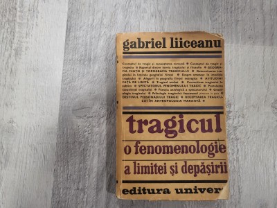 Tragicul.O fenomenologie a limitei si depasirii de Gabriel Liiceanu foto