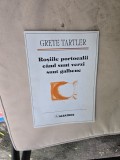 Roșiile portocalii c&acirc;nd sunt verzi sunt galbene - Grete Tartler