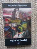 Alexandru Mironescu - Valea lui Iosafat