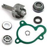 Kit Reparatie Pompa Apa ATV Linhai 250 275 300 310 320 400 DragonFly, Anniversary, Carrier, Classic, Goon, Hytrack, Muddy, Worker, Promax