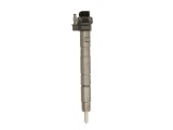 Injector AUDI A5 (8T3) (2007 - 2016) BOSCH 0 445 116 029