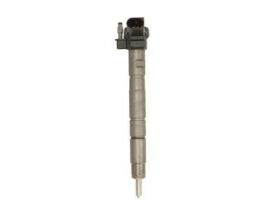 Injector AUDI A4 (8K2, B8) (2007 - 2015) BOSCH 0 445 116 029 foto