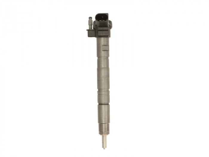 Injector AUDI A6 (4F2, C6) (2004 - 2011) BOSCH 0 445 116 029