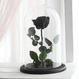 Trandafir Criogenat negru XL &Oslash;6,5cm in cupola 10x20cm