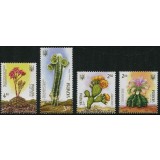 UCRAINA 2014 CACTUSI