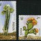 UCRAINA 2014 CACTUSI