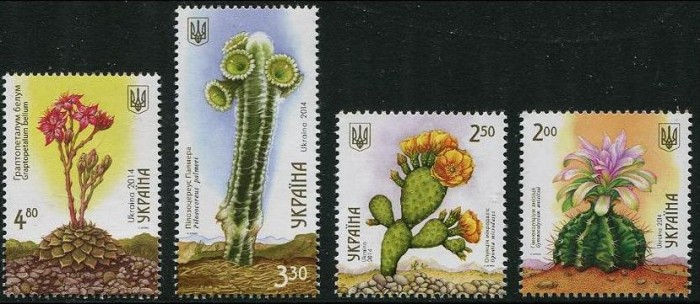 UCRAINA 2014 CACTUSI