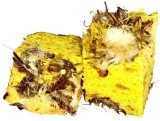 Pelete LK BAITS Special Crap Record CUC!, Porumb, 90g